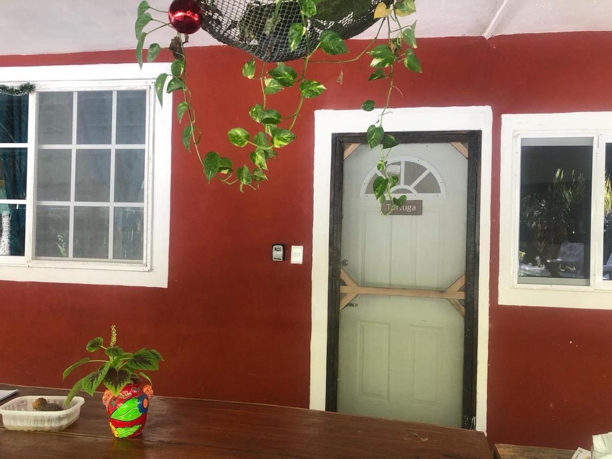 Habitacion Tortuga Casa Maria Bonita 엘 쿠요 외부 사진